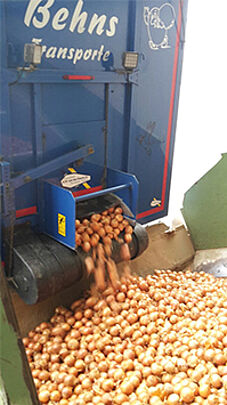 Bandwagen Transporte Kartoffeln entladen