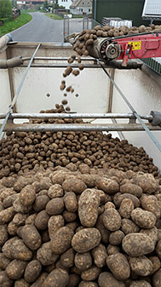 Bandwagen Transporte Kartoffeln Beladung