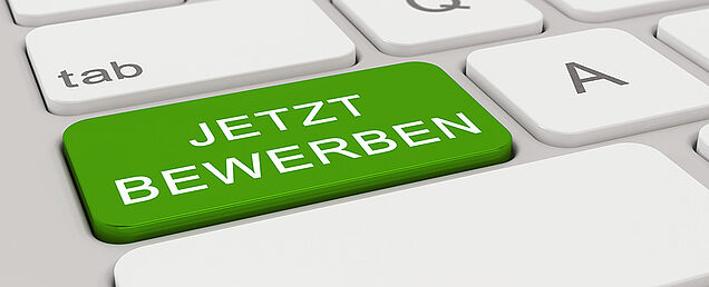 behns-transporte-bewerben behns-transporte-bewerben